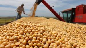 El estado de los mercados de productos básicos agrícolas 2024